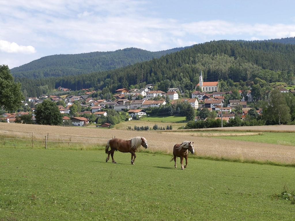 Pension Weiss Hohenwarth Kültér fotó